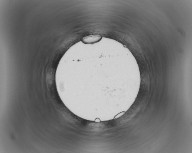 X0000111030133200908061444