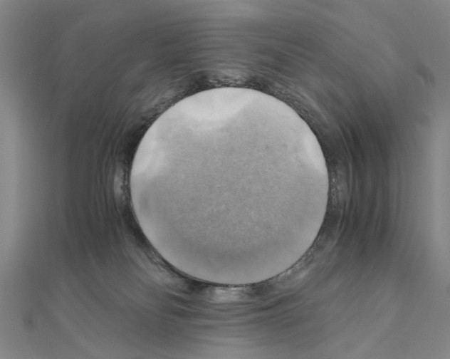 X0000111030134200908061444