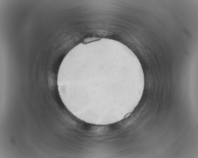 X0000111030135200908061444