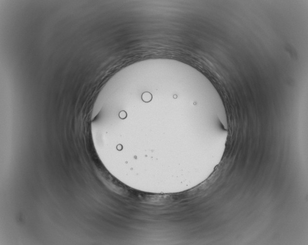 X0000111030136200908061444
