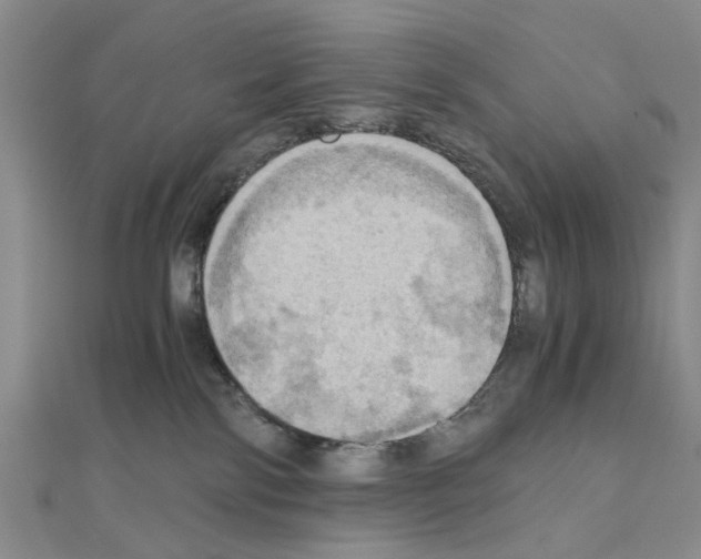 X0000111030138200908061444