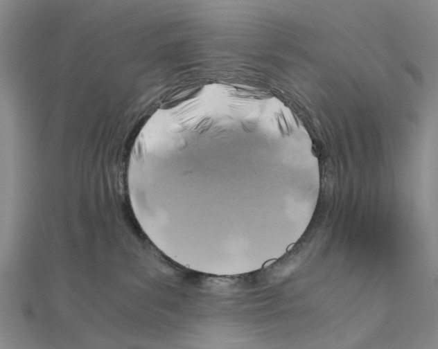 X0000111030139200908061444