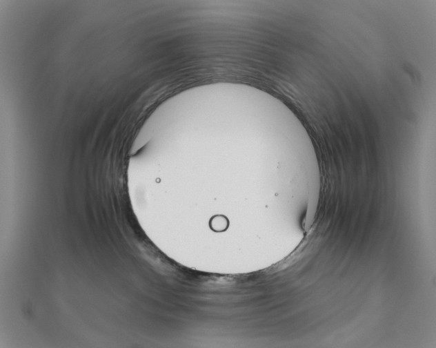X0000111030140200908061443