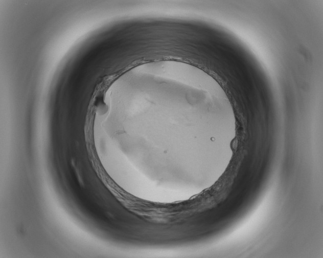 X0000111030143200908061443