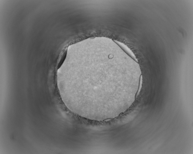 X0000111030144200908061443