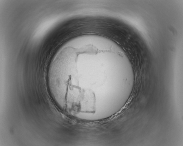 X0000111030146200908061443