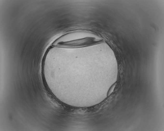 X0000111030148200908061443