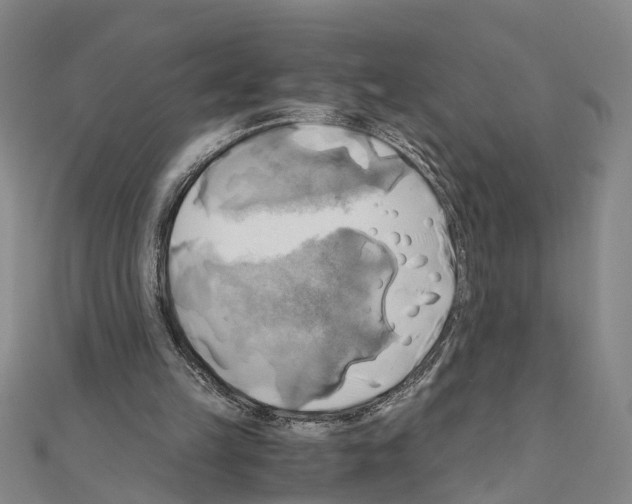 X0000111030149200908061443