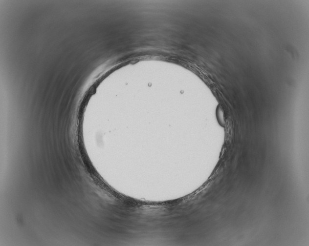 X0000111030150200908061443