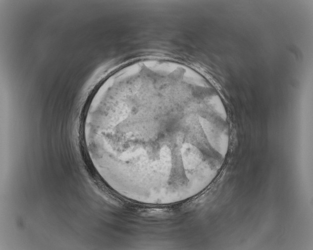 X0000111030151200908061443