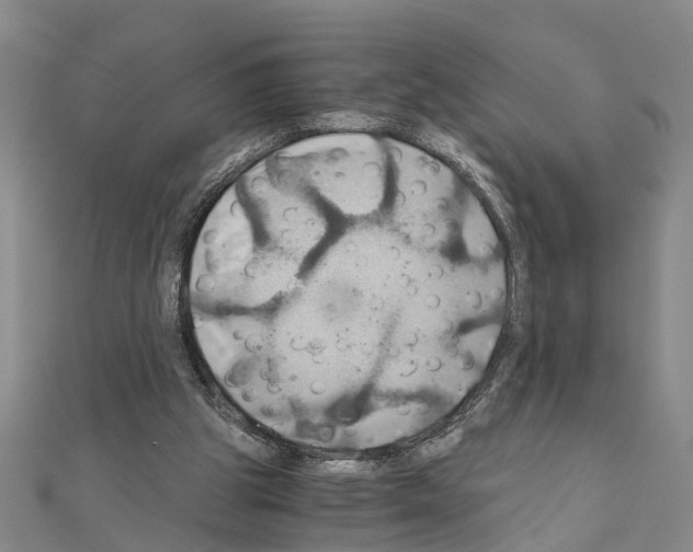 X0000111030153200908061443