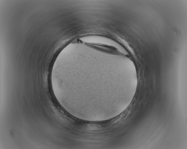 X0000111030154200908061443