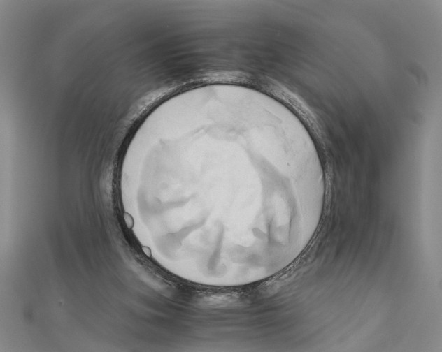 X0000111030155200908061443