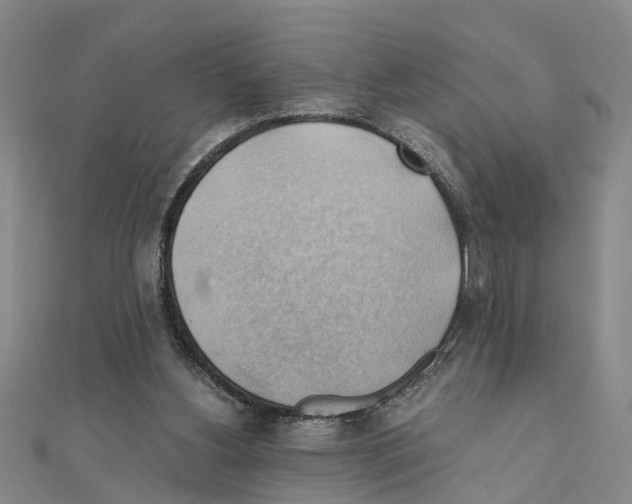 X0000111030156200908061443