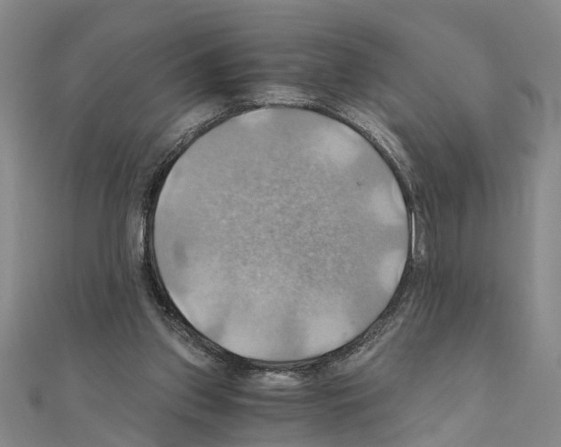 X0000111030157200908061443