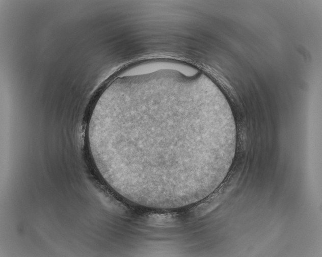 X0000111030160200908061443