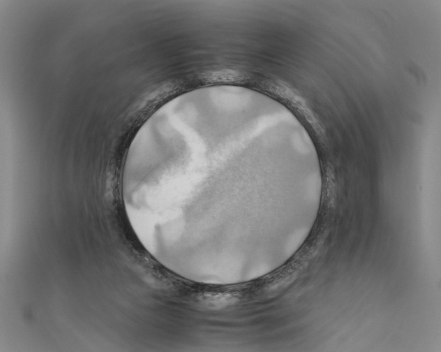 X0000111030161200908061443