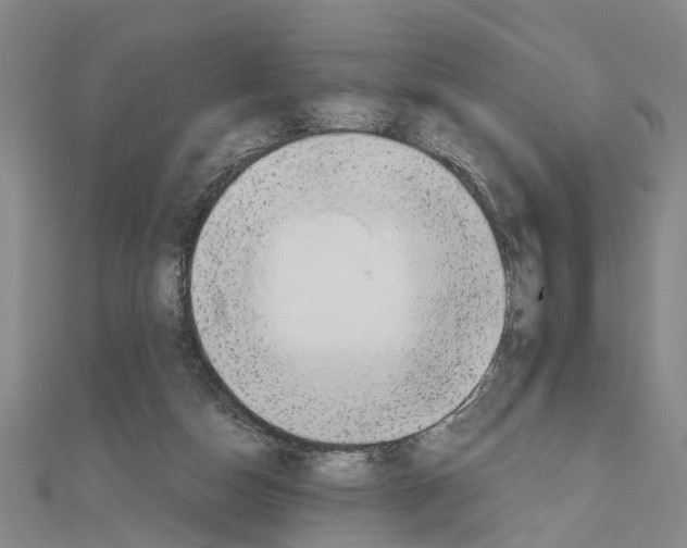 X0000111030162200908061443