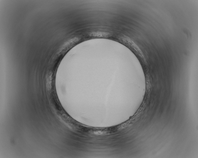 X0000111030163200908061443