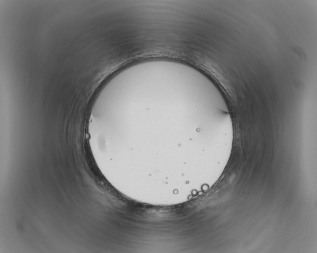 X0000111030164200908061443