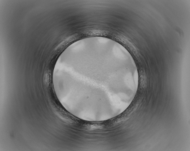 X0000111030165200908061443