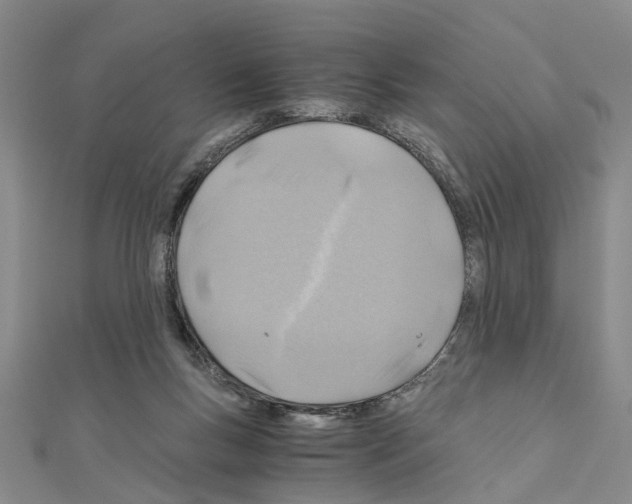 X0000111030167200908061443