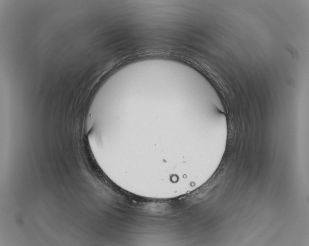 X0000111030168200908061443