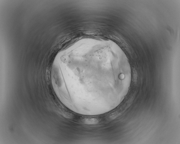 X0000111030169200908061443
