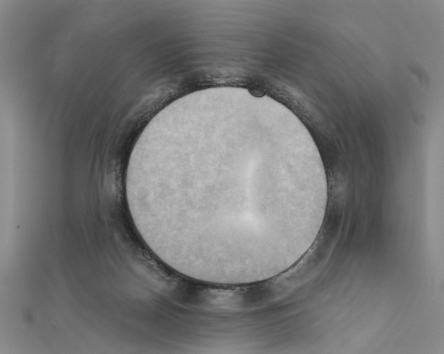 X0000111030170200908061443