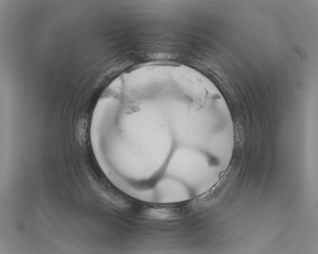X0000111030171200908061443