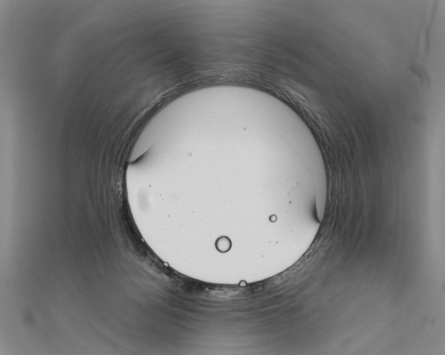 X0000111030172200908061443
