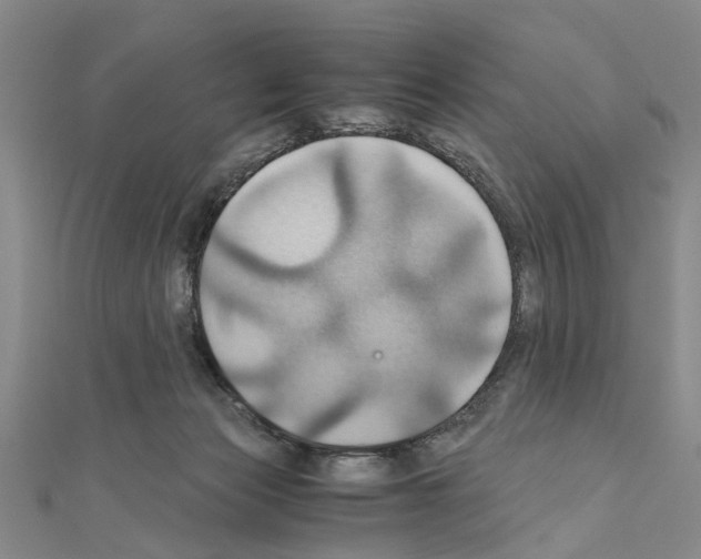 X0000111030173200908061443