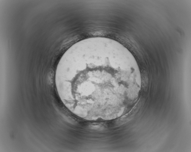 X0000111030175200908061443