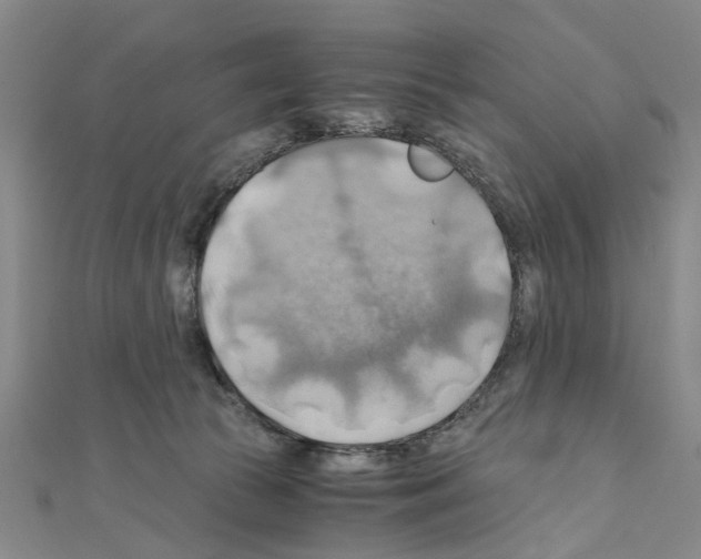 X0000111030177200908061443