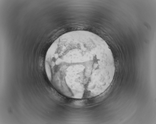 X0000111030178200908061443