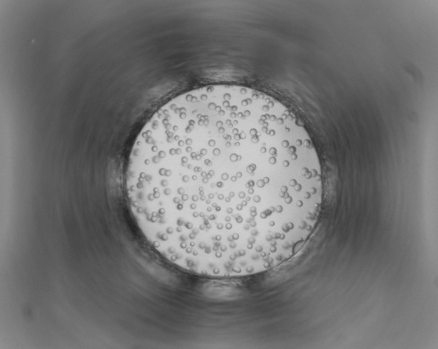 X0000111030179200908061443