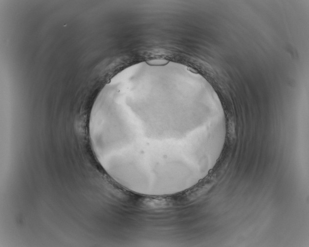 X0000111030181200908061443