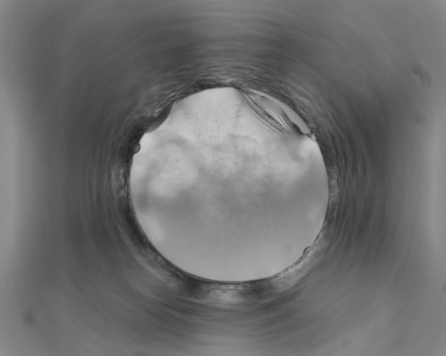 X0000111030182200908061443