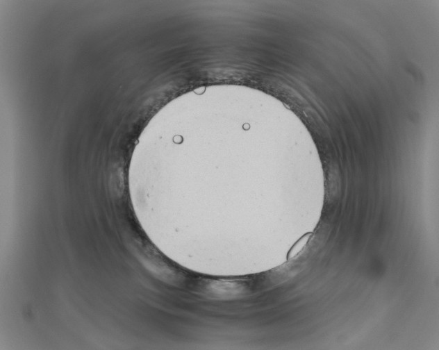 X0000111030183200908061443