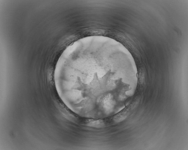 X0000111030185200908061443