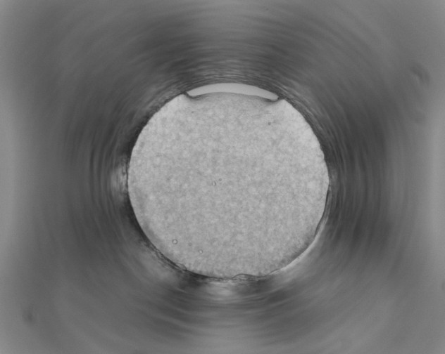 X0000111030190200908061443