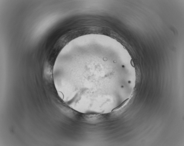 X0000111030191200908061443