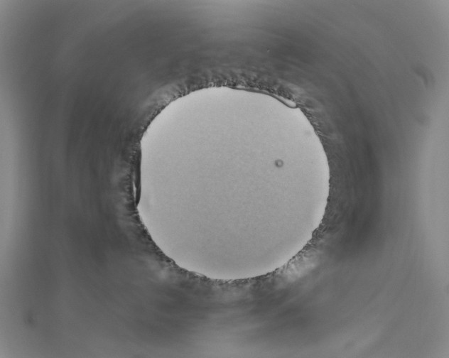 X0000111030192200908061443
