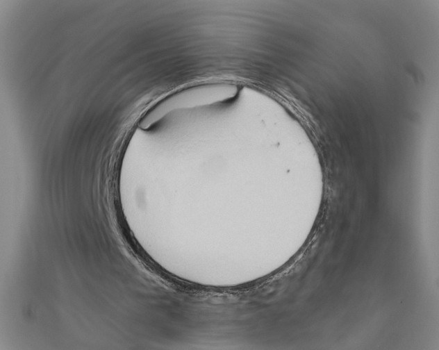 X0000111030193200908061443