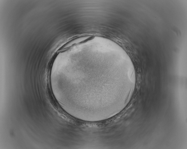 X0000111030194200908061443