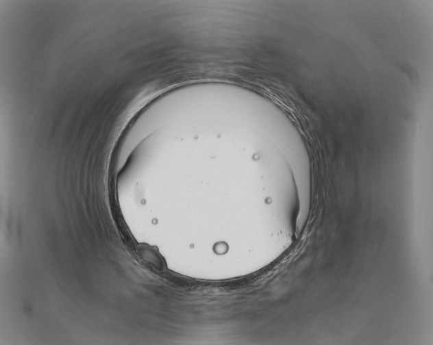 X0000111030195200908061443