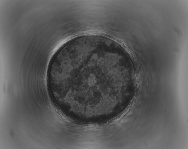 X0000111030196200908061443