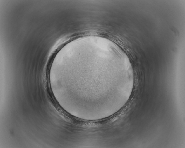 X0000111030198200908061443