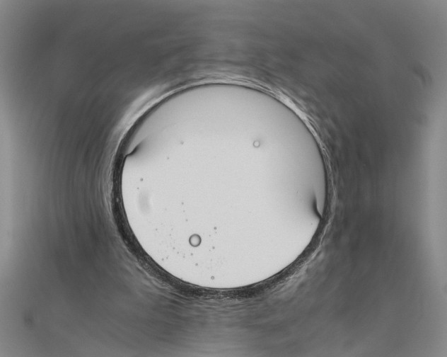 X0000111030199200908061443