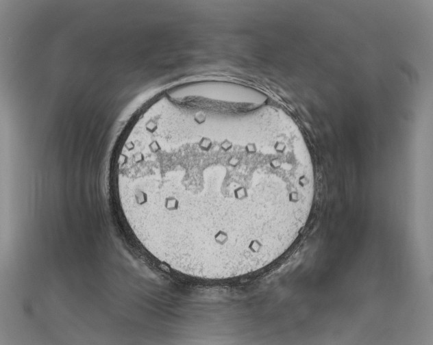 X0000111030200200908061443